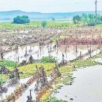पूरग्रस्त शेतकऱ्यांना 3 हजार 800 कोटींची मदत