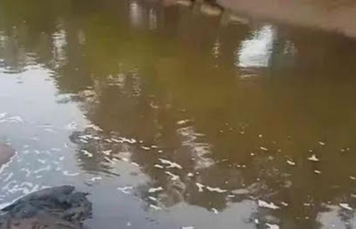 Vashishta River