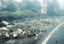 सडलेल्या भाज्यांचा खच, आंबेनळी घाट बनला ‘डम्पिंग ग्राऊंड’