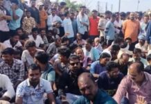 वाघ-मानव संघर्ष पेटला , दोन महिन्यात अकरा जणांचा बळी