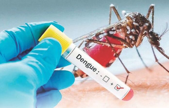 dengue