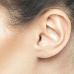 जाऊ शब्दांच्या गावा – कानामागून आले शिंगट, ते झाले तिखट!