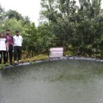 पिंपाने पाणी आणून शेतकऱ्याने उभारले कोकण जलकुंड, काजू बागेला मिळाले जीवदान