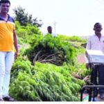 कारल्याच्या पिकातून 11 लाखांचा 112 किलो गांजा जप्त