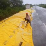 कुंडलवाडी शहर व परिसराला विजांच्या कडकडाटासह पावसाने पुन्हा झोडपले, सोयाबीन काढणीची शेतकऱ्यांना चिंता