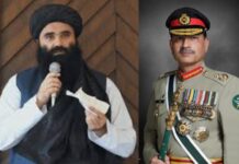 …तर विनाशकारी परिणामांना सामोरे जावे लागेल; अफगणिस्तानची पाकड्यांना धमकी