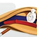 सांगलीतील वाढत्या गुन्हेगारीचा बिमोड करणार! पोलिसांकडून आजपासून कोम्बिंग ऑपरेशन