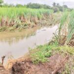 sangli flood