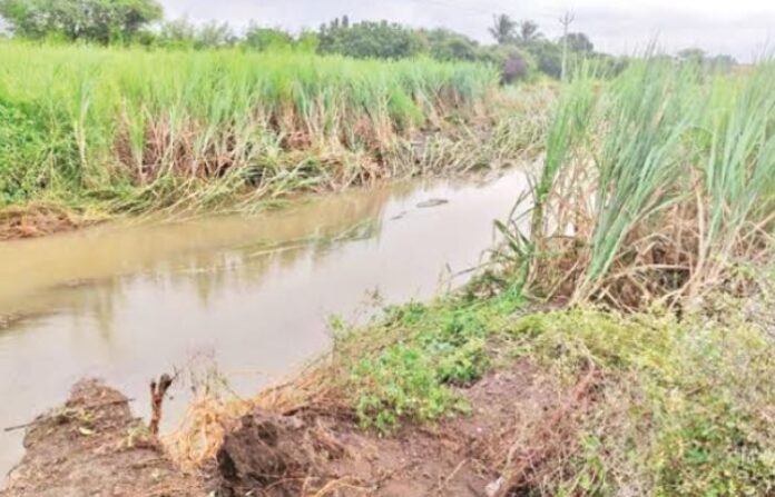 sangli flood