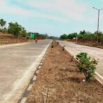 मुंबई-गोवा महामार्गावरील वृक्ष लागवडीकडे दुर्लक्ष, 16 वर्षांत केवळ 20 टक्केच वृक्ष लागवड