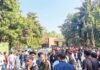 दिवाळी सुट्टीत पर्यटकांची संजय गांधी राष्ट्रीय उद्यानात धम्माल; 22 हजार पर्यटकांची हजेरी, 24 लाखांचा महसूल जमा