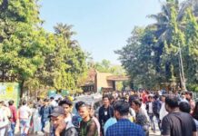 दिवाळी सुट्टीत पर्यटकांची संजय गांधी राष्ट्रीय उद्यानात धम्माल; 22 हजार पर्यटकांची हजेरी, 24 लाखांचा महसूल जमा
