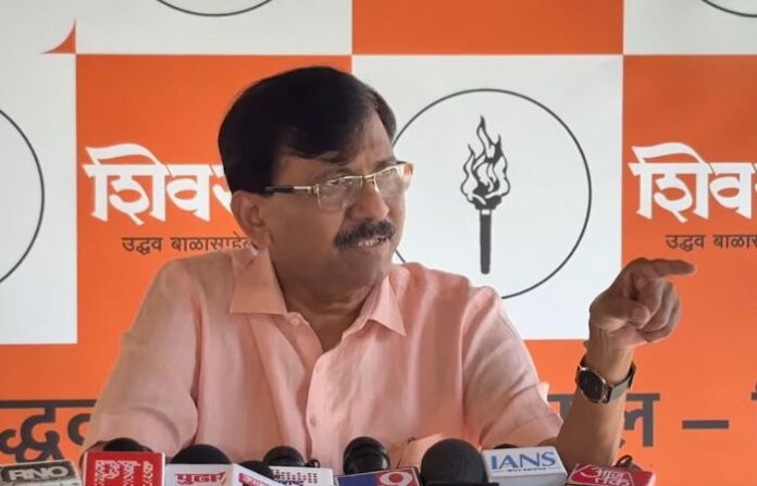 sanjay raut on fadnavis