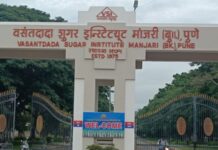 वसंतदादा पाटील शुगर इन्स्टिटय़ूटच्या चौकशीचे आदेश