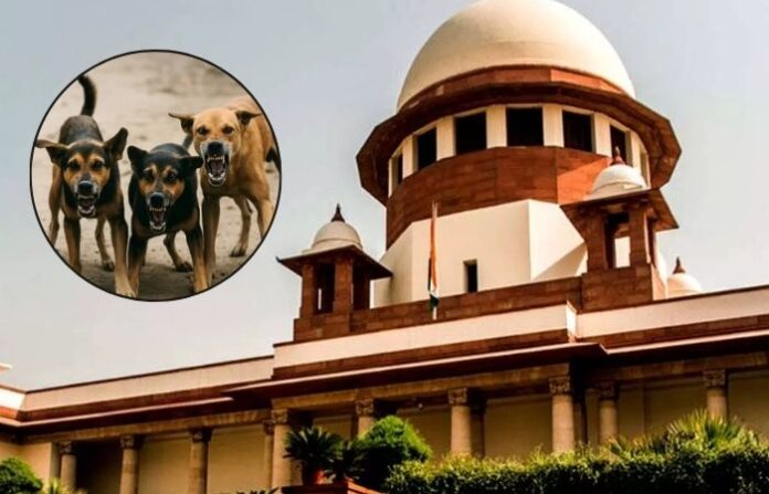 supreme court