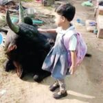 ट्रेंड – कालिया तू इथेच बस…