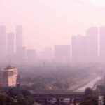 प्रदूषण रोखण्यासाठी सर्वोच्च न्यायालयात याचिका दाखल, दिल्लीत 22 लाख मुलांची फुप्फुसे खराब