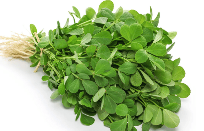 Fenugreek Leaves
