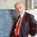 मुद्रा – विक्षिप्तपणाने झाकोळलेली विद्वत्ता!