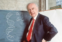 मुद्रा – विक्षिप्तपणाने झाकोळलेली विद्वत्ता!