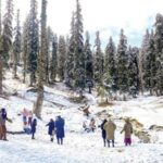 कश्मीरमध्ये बर्फाची चादर