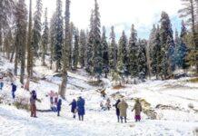 कश्मीरमध्ये बर्फाची चादर