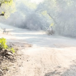 महाबळेश्वरातील खड्डे बुजविण्यासाठी सिमेंटचा अतिवापर, निवडणुकीतील कार्यकर्त्यांचे बिघडतेय आरोग्य; प्रशासनाविरोधात संताप