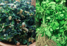 हिवाळ्यात मेथीच्या भाजीला सूपरफूड का म्हणतात, जाणून घ्या