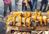Plastic Dummy Used in Fake Cremation Unmasks Rs 50 Lakh Insurance Scam in UP