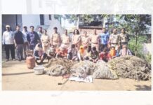 रानडुकराची अवैध शिकार; नऊ आरोपींना वनकोठडी