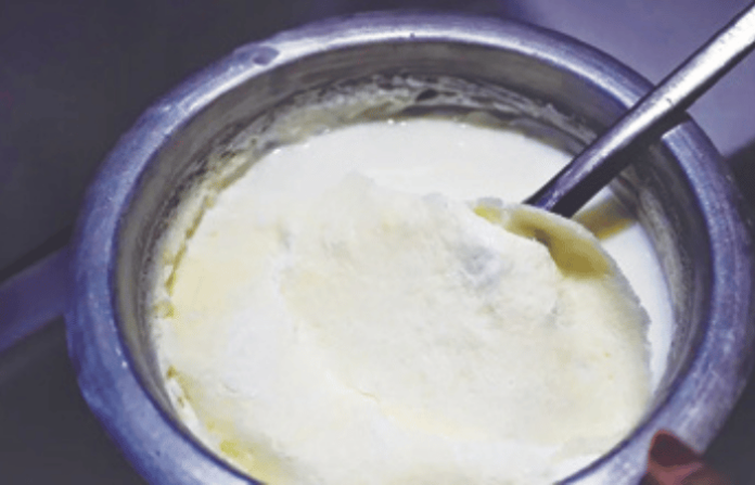 Secret Tips for Thick Malai Cream on Milk Get More Ghee at Home Secret Tips for Thick Malai Cream on Milk Get More Ghee at Home