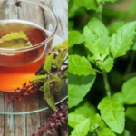 हिवाळ्यात दररोज तुळशीचा चहा पिण्याचे आरोग्यवर्धक फायदे