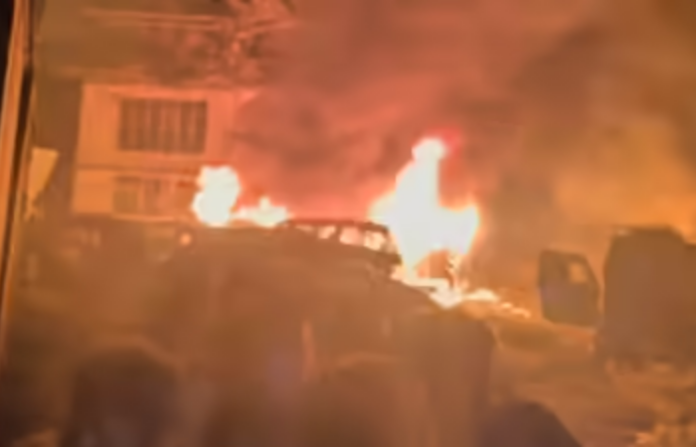 Untitled design (12)