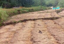 कोकणवासियांची यंदा ‘पावसाळी दिवाळी’, मोथाच्या वादळी पावसाने केला भाताचा चोथा