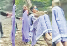 ट्रेंड – तरुणी बनवत होती रील, अचानक आले माकड आणि केला विचका