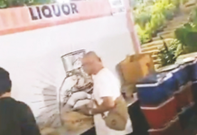 धक्कादायक! ऐतिहासिक वांद्रे किल्ल्यावर दारूपार्टी; पर्यटन विभागाने दिली परवानगी… दुर्गप्रेमींमध्ये संतापाची लाट