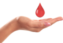 शिवसेनाप्रमुखांना अनोखी आदरांजली, सलग 155 महिने 17 तारखेला रक्तदान, शिबिराचा कार्ययज्ञ