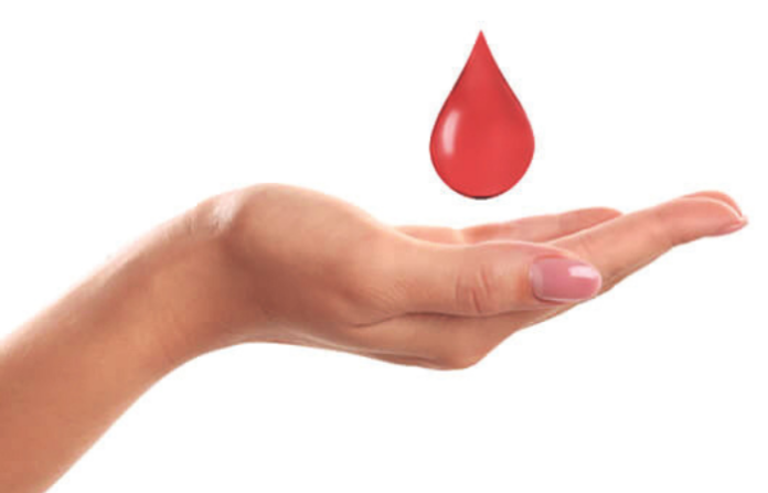 Untitled design (28)