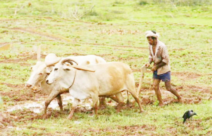 Untitled design (34)