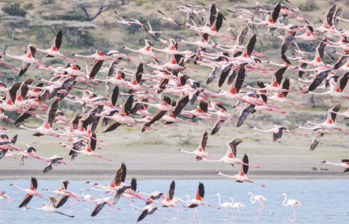 Untitled design (44)