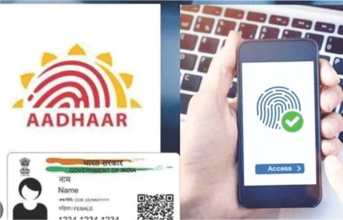 Untitled design (46)