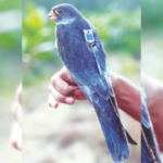 ट्रेंड – नॉन स्टॉप भरारी