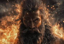 ‘महावतार’ चित्रपटासाठी विकी कौशलने केला मद्यपान आणि मांसाहाराचा त्याग, वाचा