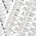 29 पालिकांसाठी 6 डिसेंबरला मतदार यादी, सुधारित वेळापत्रक