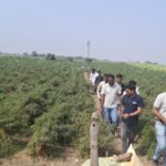 उद्याची शेती – वैचारिक अधिष्ठानाची कृषीमूल्य साखळी