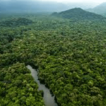 साय-फाय – जगाचे फुप्फुस धोक्यात