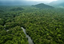 साय-फाय – जगाचे फुप्फुस धोक्यात