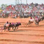 मंत्र्यांच्या वर्चस्वामुळे संयोजकांवर गुन्हा नाहीच; बोरगावात बैलगाडा शर्यतीवेळी वृद्धाच्या मृत्यूसह अनेक जखमी, सांगलीकरांमधून संताप व्यक्त
