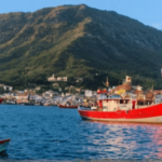 महायुती सरकारला कडकी; मच्छीमारांचे ५१ कोटी थकवले; ठाणे, पालघर, रायगडातील मच्छीमारांना फटका