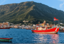 महायुती सरकारला कडकी; मच्छीमारांचे ५१ कोटी थकवले; ठाणे, पालघर, रायगडातील मच्छीमारांना फटका